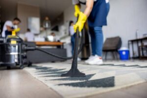 Professional House Cleaning 