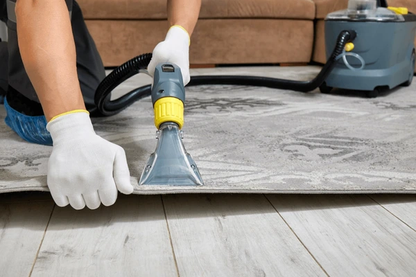 Carpet Cleaning Services: The Benefits of Professional Care