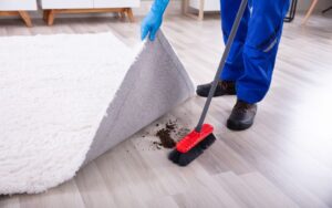 Dangers of Not Cleaning Your Carpets Regularly