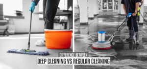 Deep Cleaning vs. Regular Cleaning