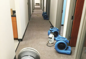 Regular Commercial Cleaning