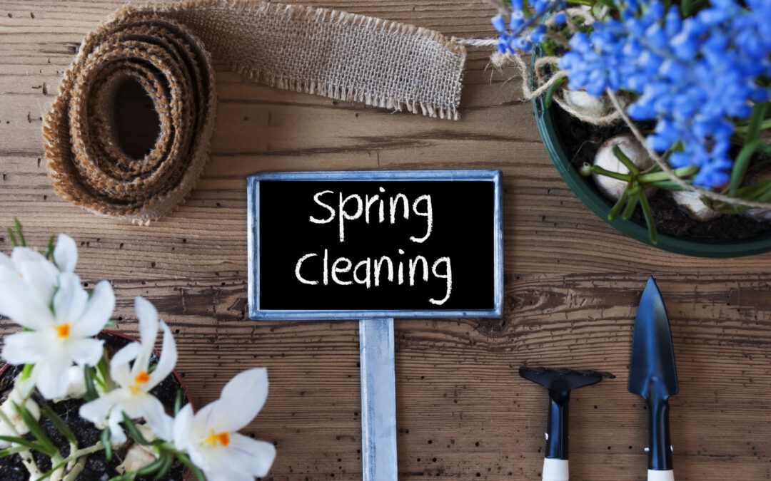 Spring Cleaning Tips from Orlando’s Top House Cleaning Experts